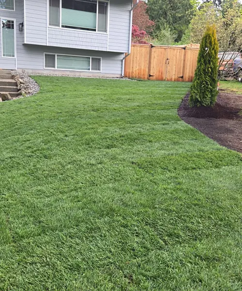 Outdoor Living Landscape in Shoreline 
